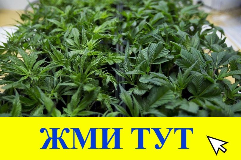 Купить наркотики в Минусинске